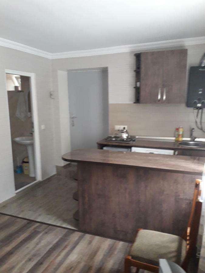 Апартаменты Apartament Sofia Боржоми Экстерьер фото